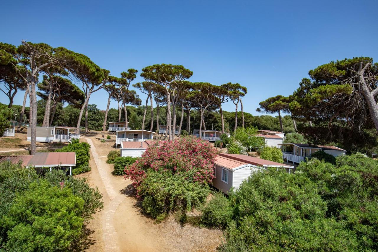Parco Della Gallinara Lido dei Pini Kültér fotó